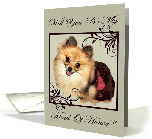 Invitations, Be my Maid of Honor, Pomeranian in dress,... (641269)