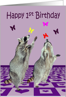 1st Birthday, adorable raccoons playing with butterflies on purple card