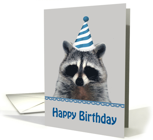 Birthday, general, Portrait of a raccoon wearing a party... (643049)