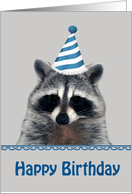 Birthday, general, Portrait of a raccoon wearing a party hat on gray card