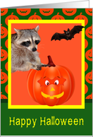 Halloween, general, raccoon with jack-o-lantern in yellow frame card