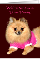 Invitations, Diva Party, general, Pomeranian wearing a pink shirt card