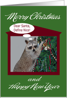 Christmas, general, humor, Raccoon with tree, holly, candy canes card