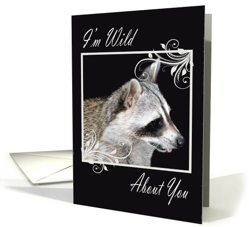 Love And Romance, general, Raccoon in white fancy frame on black card
