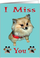 Miss you, General, Pomeranian looking sad with dog prints on blue card