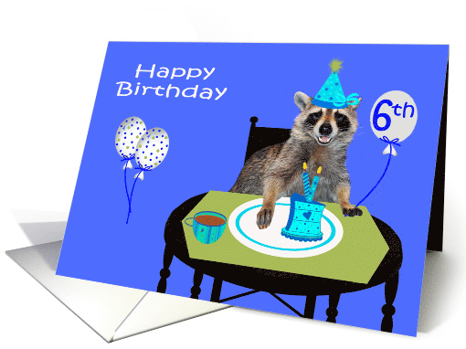 6th Birthday, Adorable raccoon wearing a party hat, cake on blue card