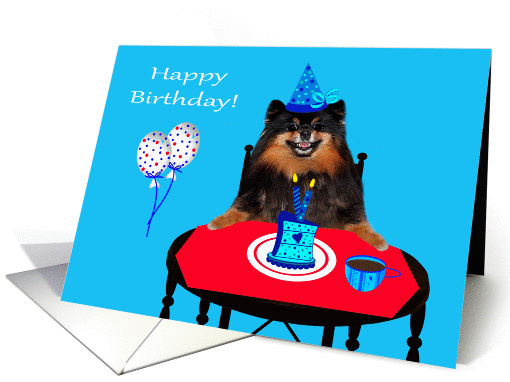 Birthday, general, Pomeranian wearing a party hat with a... (653289)