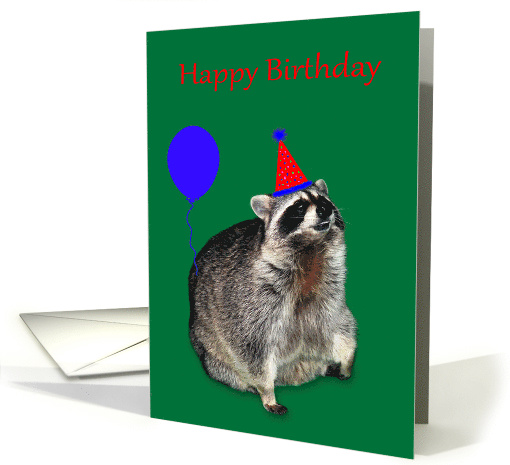 Birthday, general, Raccoon wearing a party hat, blue... (653290)