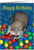 Birthday, general, raccoon with colorful balls in blue water, yellow card