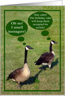 Birthday To Teen, geese with talk bubbles in grass with green border card