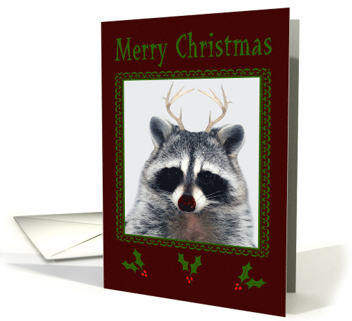 Christmas with a Cute Red-nose Raccoon with Antlers on Burgundy card