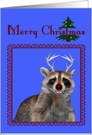 Christmas, general, raccoon smiling with red nose and antlers on blue card