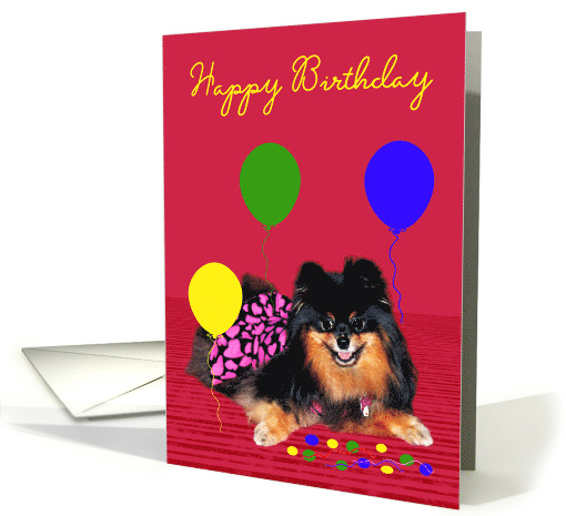 Birthday Card with a cute Pomeranian and Colorful Balloons... (689929)