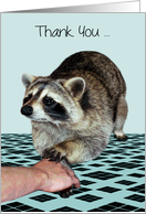 Thank You with an Adorable Raccoon Hand being Held by a Human Hand card