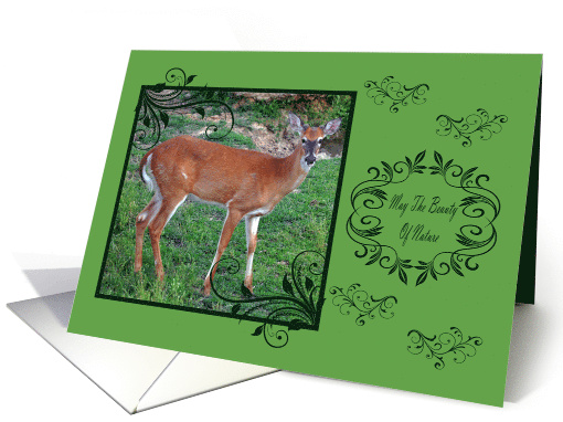 Birthday, general, deer in fancy frame on green with... (690305)