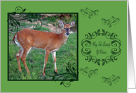 Birthday, general, deer in fancy frame on green with decorative leaves card