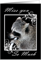 Missing You, general, raccoon looking sad, white fancy frame on black card