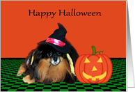 Halloween, general, Pomeranian witch with jack-o-lantern in frame card