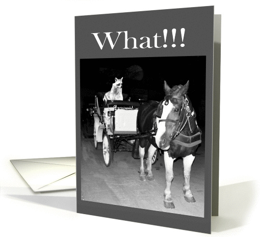 Birthday, raccoon riding in a horse and buggy card (700429)