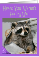 Get Well, Feel Better, general, Raccoon wrapped in blankets, purple card
