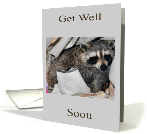 Get Well, general, adorable raccoon sleeping in blankets on gray card