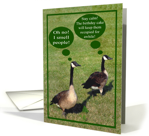 Birthday Humor Geese with Talk Bubbles in the Grass on Green card