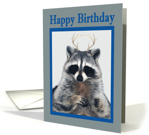 Birthday, general, humor, raccoon with antlers in blue... (715262)