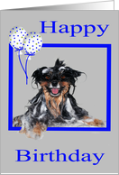 Birthday, general, humor, soapy Pomeranian smiling in bath, balloons card