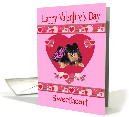 Valentine's Day to Sweetheart, Pomeranian wearing dress,... (718013)
