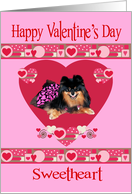 Valentine’s Day to Sweetheart, Pomeranian wearing dress, hearts, pink card