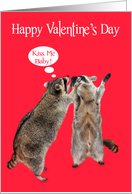 Valentine’s Day to Sweetheart with Raccoons Getting Ready to Kiss card