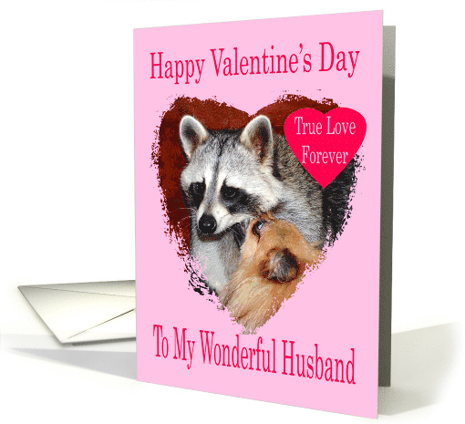 Valentine's Day to Husband, Pomeranian with raccoon in... (721001)