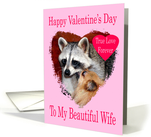 Valentine's Day To Wife, Pomeranian with raccoon in a... (721006)