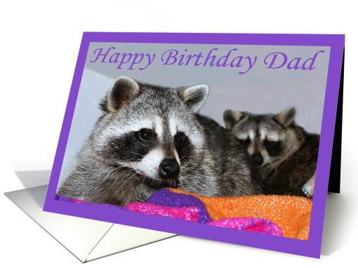 Dad Birthday, Raccoons together card (723732)