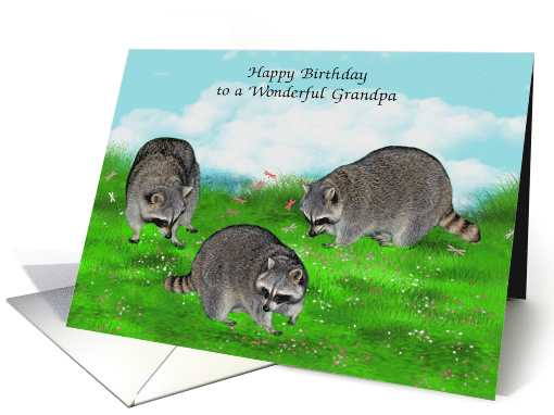 Birthday to Grandpa, beautiful raccoons in a meadow with flowers card