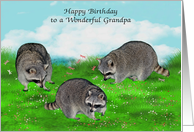 Birthday to Grandpa, beautiful raccoons in a meadow with flowers card