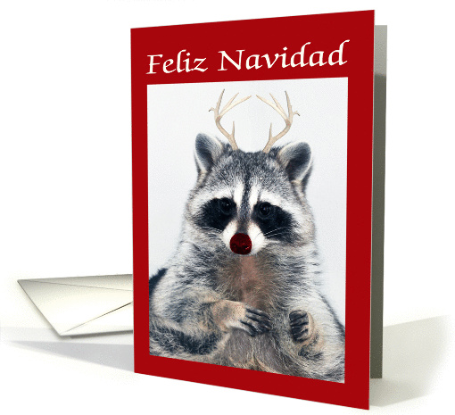 Merry Christmas in Spanish, general, raccoon with... (725715)