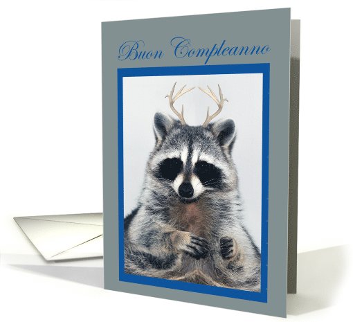 Compleanno, procione con corna card (726333)
