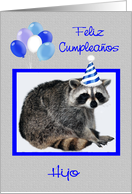 Bithday to Son, Spanish, adorable raccoon wearing a party hat, blue card