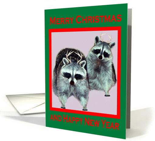 Christmas, general, Raccoons with red nose, antlers on dark green card