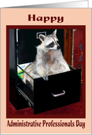 Administrative Professionals Day, Raccoon in file cabinet card