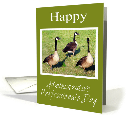 Administrative Professionals Day From The Flock, geese card (731781)