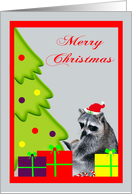 Christmas, general, raccoon in a Santa Claus Hat, presents card
