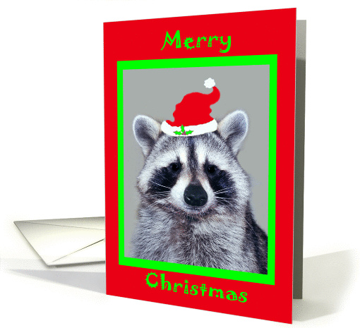 Christmas, general, raccoon wearing Santa Hat in a green... (732199)