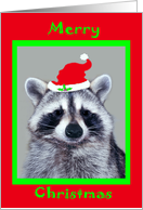 Christmas, general, raccoon wearing Santa Hat in a green frame, red card