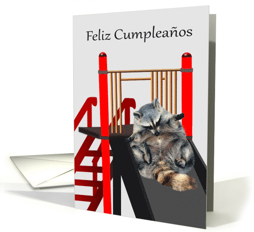 Birthday, Spanish, Raccoon looking at toes sliding down... (733228)
