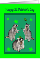 St. Patrick’s Day, general, raccoons with hats and shamrocks card