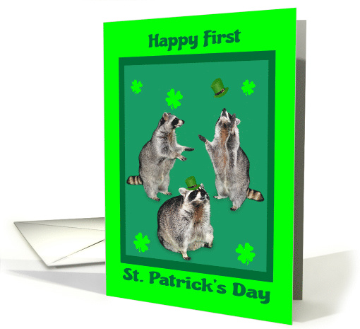St. Patrick's Day Baby's first, raccoons with hats,... (733553)