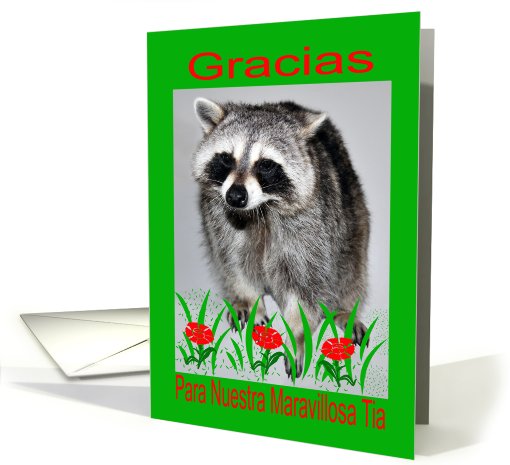 Simpata Gracias Ta, mapache con flores card (734285)