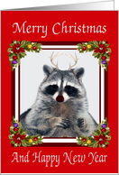 Christmas to New Parents, Adoptive, Red Nose Raccoon with antlers card